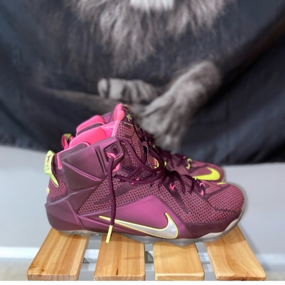 Other - Nike LeBron 12 Double Helix